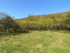 45 соток + 2 дома 