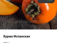 Продам мандарины. 