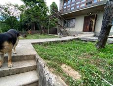 Дом в центре города старый Сухум