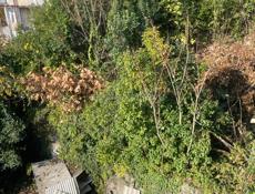 Дом в центре города старый Сухум