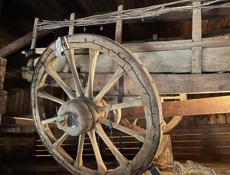 Продается раритетный ауардын 