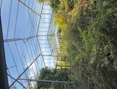 Теплица сборная, 50/30