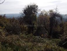 Земельный участок