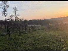 Продается срочно участок !  1 миллион