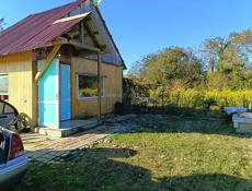 Очень срочно