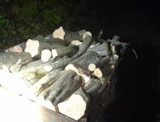 Дрова граб прицеп 8т