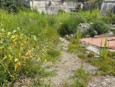 В самом центре Сухума! 12 соток!