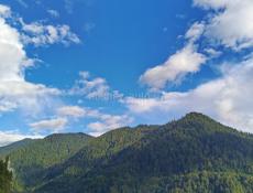 Куплю квартиру