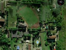 Участок , Пицунда , цитрусовый совхоз 