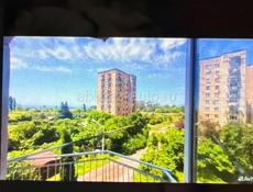 Сдается на круглый год 