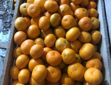 Продаю мандарин 🍊 Гагра 80руб