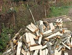 Дрова на заказ