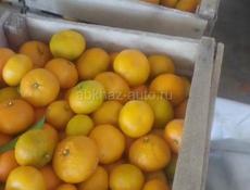 Продаю мандарин 🍊 Гагра  около 4 тонн 