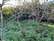 Дом в Агудзере