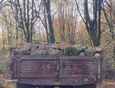 Продам дрова