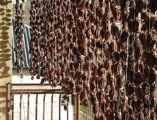 Хурма сушëная