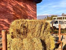 Краснодарское сено в большом количестве 