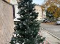 Продаю елку 