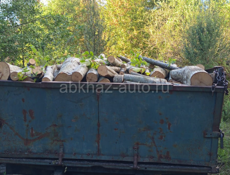 Дрова Аьаца 25-30ты 9961888