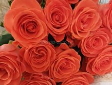 Требуется преподаватель рус.яз и литературы, 