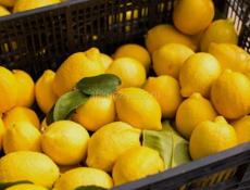 Куплю лимоны
