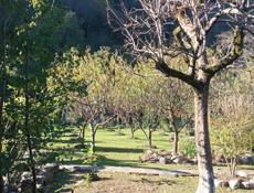 Продаётся дом в городе Ткуарчал