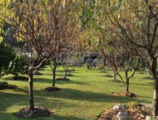 Продаётся дом в городе Ткуарчал