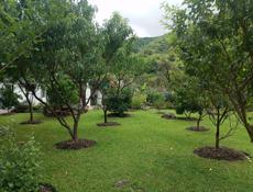 Продаётся дом в городе Ткуарчал