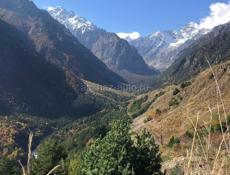 Ищем работу на сбор мандарин ,Гулрыпшский  район 