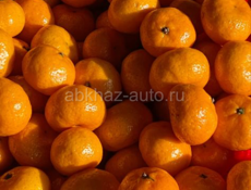 Продам мандарины