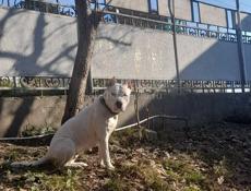 Ищем жениха