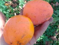 Покупаем хурму