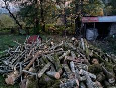 Продаю Граб дрова готовый 