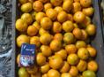 Продам мандарины 🍊 есть собранные 4 тонны 
