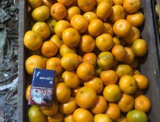 Продам мандарины 🍊 есть собранные 4 тонны 