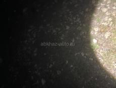 Плоская хурма 