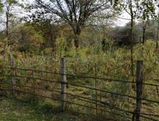 Продаю земельный участок в посёлке Бзыбь 