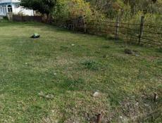 Продаю земельный участок в посёлке Бзыбь 