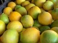 Продаю лимоны 