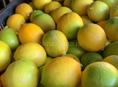 Продаю лимоны 