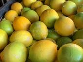Продаю лимоны 