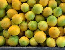 Продаю лимоны