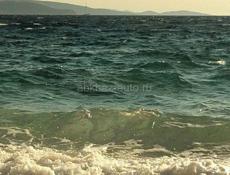 В поиске работы