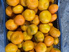 Отдам мандарины в хорошие руки 