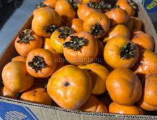 Хурма плоская