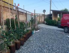 Продается дом 