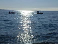 Золотой берег 25соток с документами. 