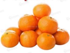 Продаю сад с мандаринами 