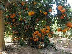 Ещу работу себе 