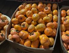 Хурма плоская собранная 200кг общем ‼️‼️‼️